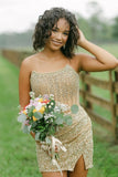 Cute Gold Bodycon Scoop Neck Sequin Short Homecoming Dress with Beading