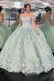Dylan | Off-the-Shoulder Dusty Sage Quinceañera Dress with Appliques and Lace-Up Back