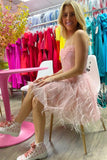 Wynne | Pink Sweetheart Short Homecoming Dress with Grid Pattern and Feathers